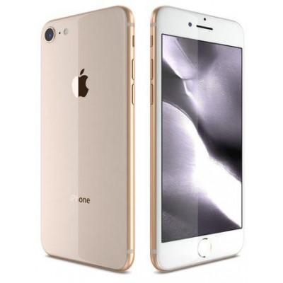 iPhone 8 64Gb Usato G.A Garanzia 1 anno Gold