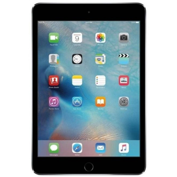 Apple Ipad Mini 4 64Gb Gray Wi-Fi A1538 Usato Grado A